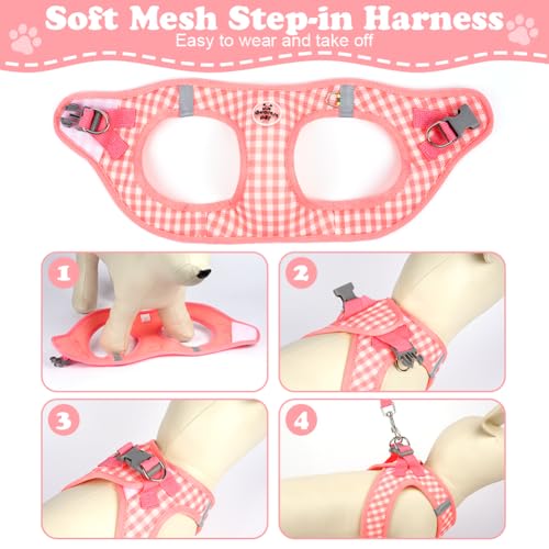 OFFCUP Hundegeschirr Leine Set für Hunde & Katzen Atmungsaktive Step-In Geschirr aus Mesh mit gepolsterter Weste Anti Zug Reflektierend Verstellbar Weich Welpengeschirr Katzengeschirr, Rosa, XS