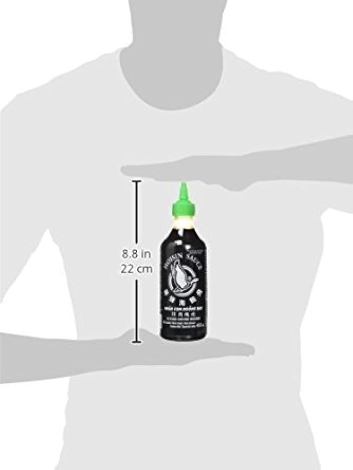 Flying Goose Hoi sin Sauce, 2er Pack (2 x 455 ml)