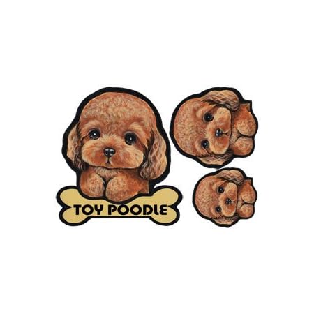Amazon Co Jp 犬ステッカー トイプードル24 シール ホーム キッチン