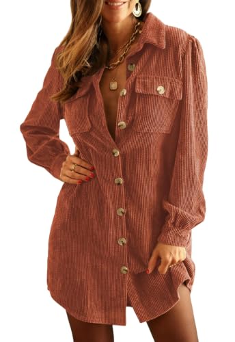 Alaster Queen Women's Corduroy Brown Lapel Neck Long Sleeve Work Fall Dress