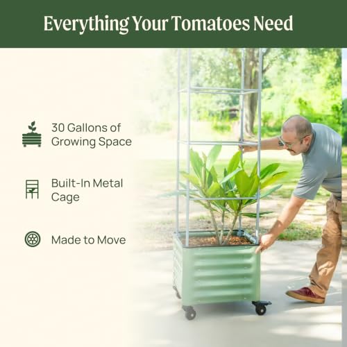 Image of Vego garden Classic Rolling Cube Tomato Planter with Metal Cage & Wheels, 30 Gallon Rolling Planter for Tomatoes, Peppers & Beans, 21 inch x 21 inch x 19 inch, 54 inch Plant Support Cage-Olive Green