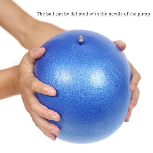 Small Pilates Ball With Pump 9 Inch Mini Bender Ball For Stability Pilates Yoga Barre Physical Therapy Core Training #TOP3