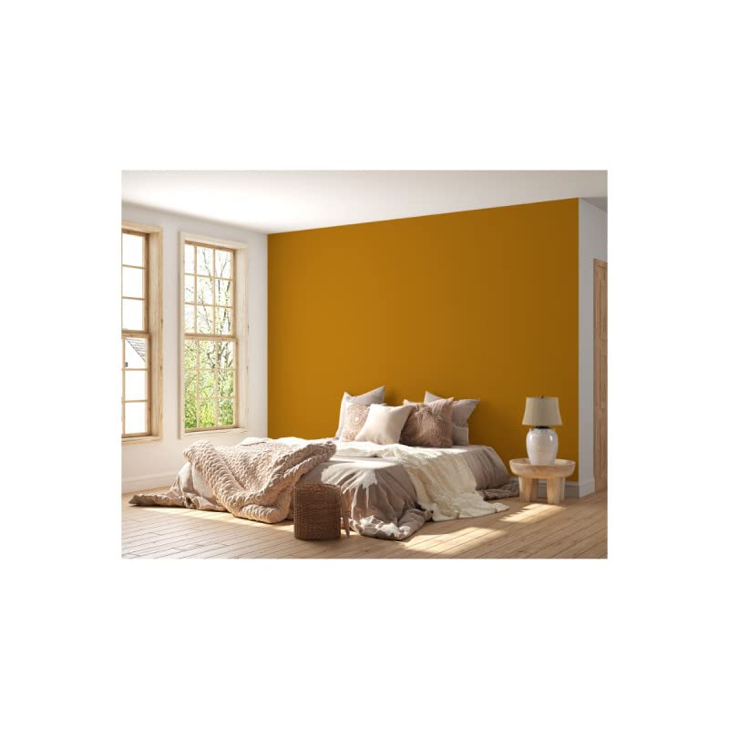 Peinture Acrylique Jaune Moutarde Caravanes - Aspect Satin - Peinture Mur, Plafond, Boiserie & Balcon - Lessivable - Séchage En 30 min - COV A+ - Fabriquée En France - 5 L - BARBOUILLE