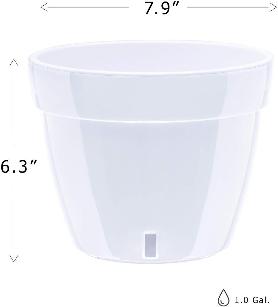 Gardenera 7.9" ASTI Self Watering Planter (Set of 3) in Green-Gold/White - Modern Flower Pot with Water Level Indicator for All House Plants, Flowers, Herbs, Succulents and Hanging Plants