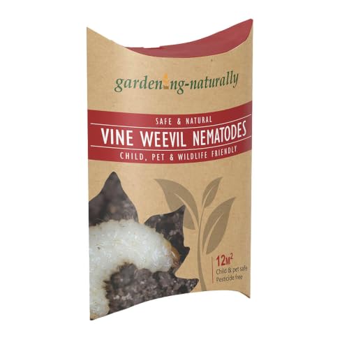 Vine Weevil Nematodes Treatment for Vine Weevil in Pots Effective Larvae Control Garden Pest Solution Covers 12 Square Metres
