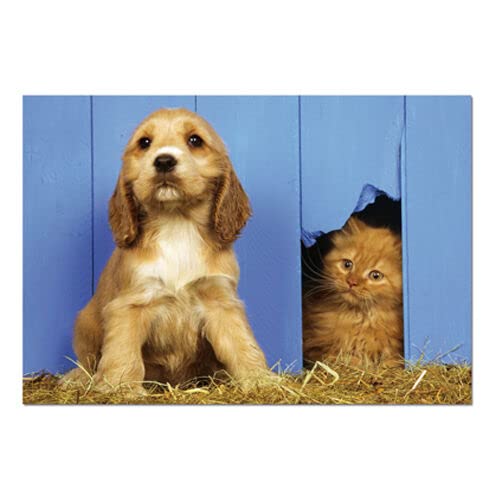 Puzzle 500 Piezas. El Perro y El Gato