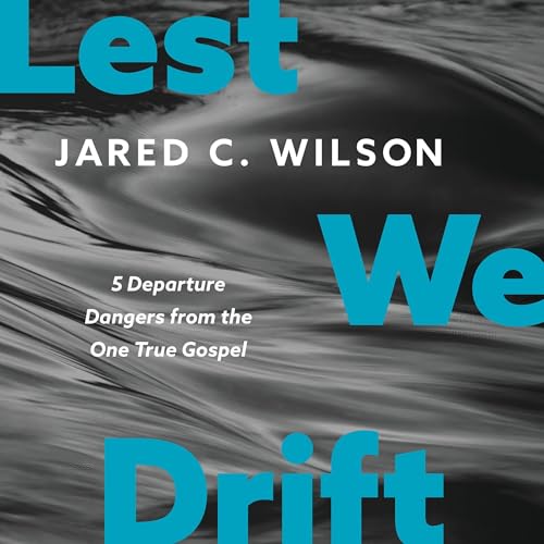 Lest We Drift copertina