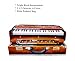 Harmonium, Maanvish Professional Harmonium Portable, Triple Reeds, 3 1/2 Octaves, 9 stops,4 Extra Notes, Padded Bag