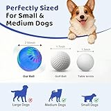 Pipihome Interaktives Hundespielzeug Ball, Hundeball Elektrisch Automatisch Rollender mit LED-Lichtern Spielball, Hundespielzeug Intelligenz für Kleine/mittlere/große Hunde, USB Wiederaufladbar