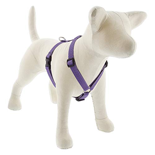 Small Dog Adjustable Harness by Lupine ECO Collection 3/4" Wide L...