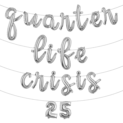 Quarter Life Crisis 25 Birthday Decorations Fun Party Decorations 25th Decor party Supplies Twenty five Birthday (L QUARTER LIFE CRISIS 25 Silver)