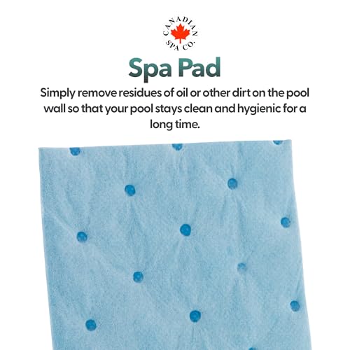 Canadian Spa CO. Spa Ball, Oil Absorbing Sponge Hot Tub, Pool Accessories, Sponge Pool Cleaning, Foam Absorber