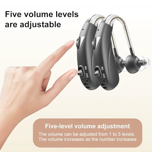 Image of Fastwell F28-2 Unit For Both Ear Digital Advanced Rechargeable Hearing Aid for Adults with Hearing Loss | |Digital Noise Reduction | (Pair) | 1-Year Warranty (Grey)