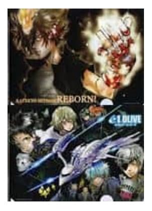 家庭教師ヒットマンREBORN! エルドライブ まとめ売り（バラ売りでも出品中） 家庭教師ヒットマンREBORN! エルドライブ まとめ売り（バラ売りでも
