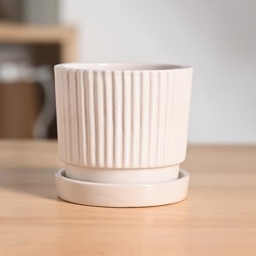 Image of UGAOO Roma Ceramic Pot |Indoor Ceramic Planter for Home, Office, Garden, Balcony - White (4 Inch)