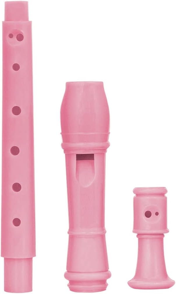 Professional Eight Hole Treble Long Flute Soprano Recorder Clarinet Woodwind Instruments(Gray)