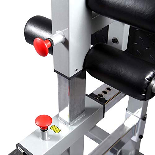 Body-Solid Glute and Hamstring Machine for Weight Training, Home and Commercial Gym