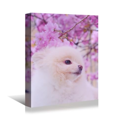 YONICA Custom Canvas Prints with Your Photos - 16x24 inch