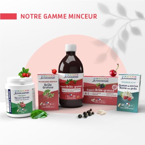 JUVAMINE Detox, Minceur, Drainage - Artichaut + Thé Vert - 14 Sticks – vue 8