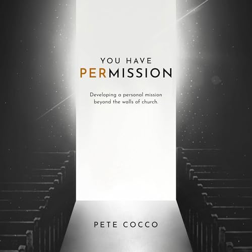 Couverture de You Have Permission