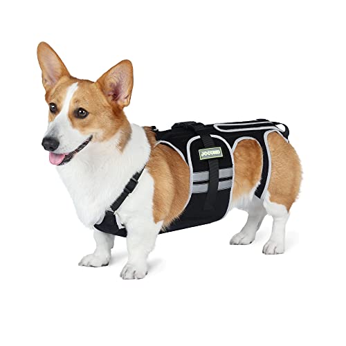 Top 10 Best Dog Back Brace Top Picks 2023 Reviews