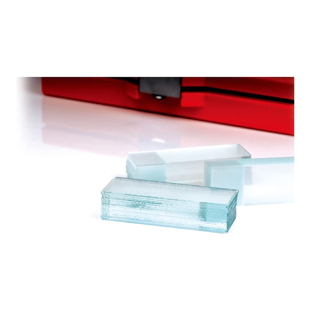 0304-2222 Microscope Slide, Super Grade, Beveled Edges, Frosted 1 End 2 Sides, 45° Clipped Corners, 75.0 x 25.0 x 1.1 mm (Pack of 1440)