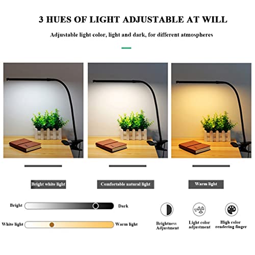 Lampe de bureau 2 en 1 réglable avec télécommande et clip pour salon