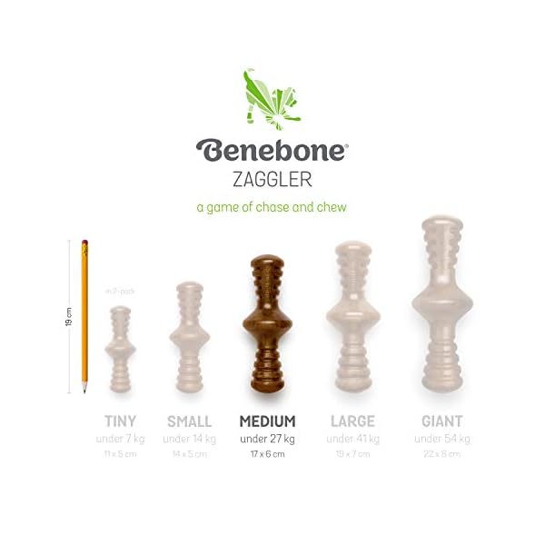 Benebone Zaggler Rolling Dog Chew Toy