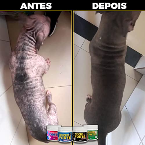 Suplemento Cachorro Forte Pelo e Derme - Suplemento Alimentar para Cães