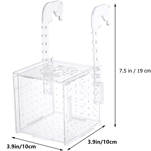 Loogujuzao Acrylic Fish breeding Box, Acrylic Fish Isolation Box, Fish Separator for Aquarium, Hatchery Incubator with Suction Cups for Small Baby Fishes Shrimp Clownfish Guppy (10 * 10 * 10CM)