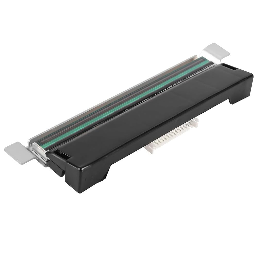FABULETTA Testina di stampa per stampante termica Zebra ZT231, ZT211, ZT111, 300 DPI, P1123335-013