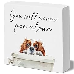 Cavalier King White