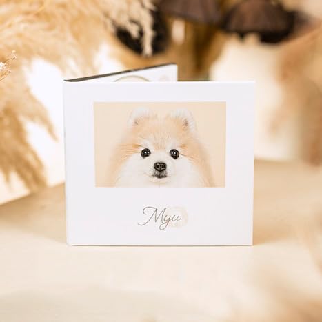 ポートレート撮影+データ10カット(デザインケース付き) | 撮影 写真 スタジオ 写真館 記念日 誕生日 お祝い 思い出 ペット 犬 ギフト プレゼント 記念撮影 栃木県 壬生町