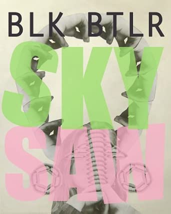 Sky Saw book cover
