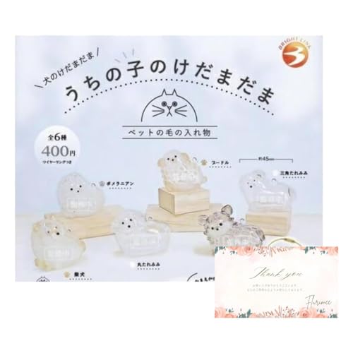 Amazon.co.jp: うちの子のけだまだま 犬のけだまだま 【全6種セット