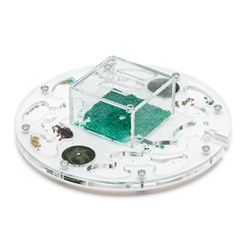Ant Farm Educational Kit Circle Big (Formicarium, Ants)