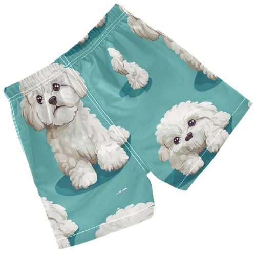 Pigsaly Boys' Swim Board Shorts Cartoon White Bichon Frize Dog Boy's Swim Trunks Kids Swimwear 5T2