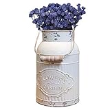 Perfekt für die Präsentation von frisch gepflückten Blumen aus Ihrem Garten sowie Gartengeräte / Zubehör.