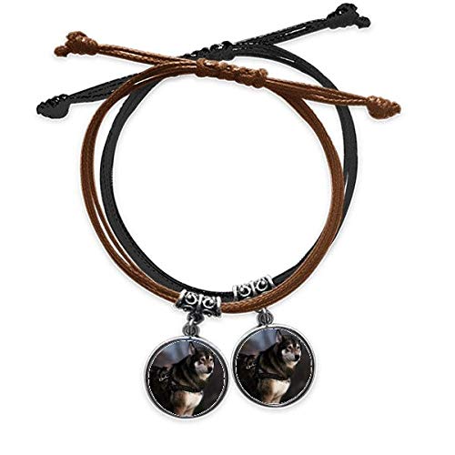 DIYthinker Juego de pulsera de doble cuerda de cuero con diseño de perro Husky y animal solitario, regalo para parejas