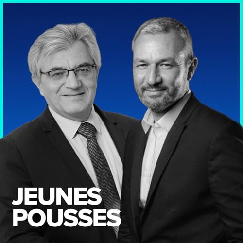 L'innovation collaborative en action pour aller plus loin ? - &Eacute;tienne Bri&egrave;re (R&D chez EDF) et Mehdi Gmar (CNRS)