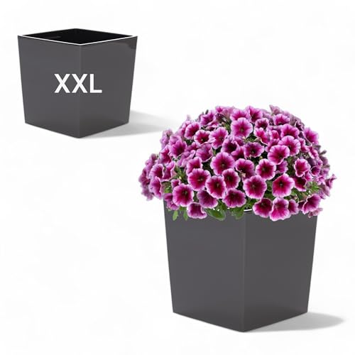 MELTOM Pflanzkübel aus Kunststoff in Hochglanz Farbe mit Herausnehmbaren Einsatz (Anthrazit, XXL-41,5cm)