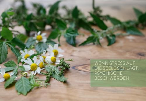 Mit Naturheilkunde Stress bewältigen: Nachhaltige Heilpflanzenkraft bei körperlichen & seelischen Beschwerden