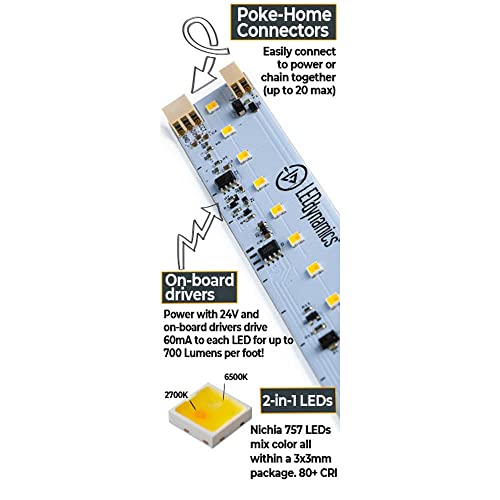 Tira LED ajustable blanco 24V para interior 12 pulgadas miniatura 2