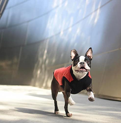 Image of Gooby Fashion Vest Dog Jacket, Red, X-Small | Quilted bomber, water-resistant; Stretch knit bottom; Dual D-ring leash; Pain-free zipper guard; Warm
