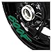 PFSM Autocollants réfléchissants pour Jante Autocollant de Roue de Moto Autocollants de Roue réfléchissants étanches Jante pour H-on-da 600F (Color : Reflective Green)