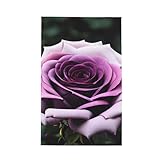 JBYJBX Stampa rosa nera nera