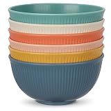 Chuboir Müslischalen 6 Stück Dessertschalen Plastik Leichtgewicht Schüsselsets Suppen Cerealienschalen, Wiederverwendbar Bowl Snack Pasta Salat Obst Ramen Küche Picknickschale Grillpartys Rührschüsse