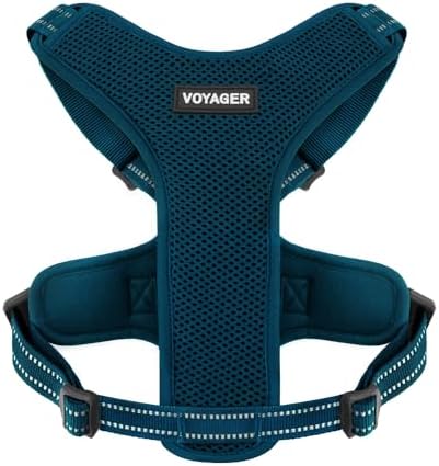 Air Frontier Mesh Dog Harness with Steel Leash D-Ring, Reflective Stitching, and Lightweight Breathable No-Pull Design, Adjustable Neck and Chest Straps for Small to Large Breeds – BUW, L