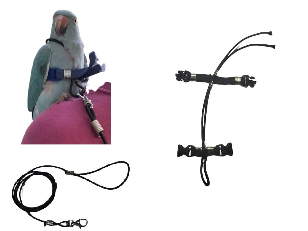 Arnés de loros para periquito de cuello con cuerda elástica de 3 mm ajustable negro