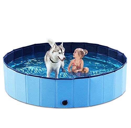 Best Pools For Dogs
